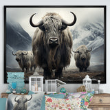 Monochrome Yaks Grazing Scene - Yaks Canvas Wall Art