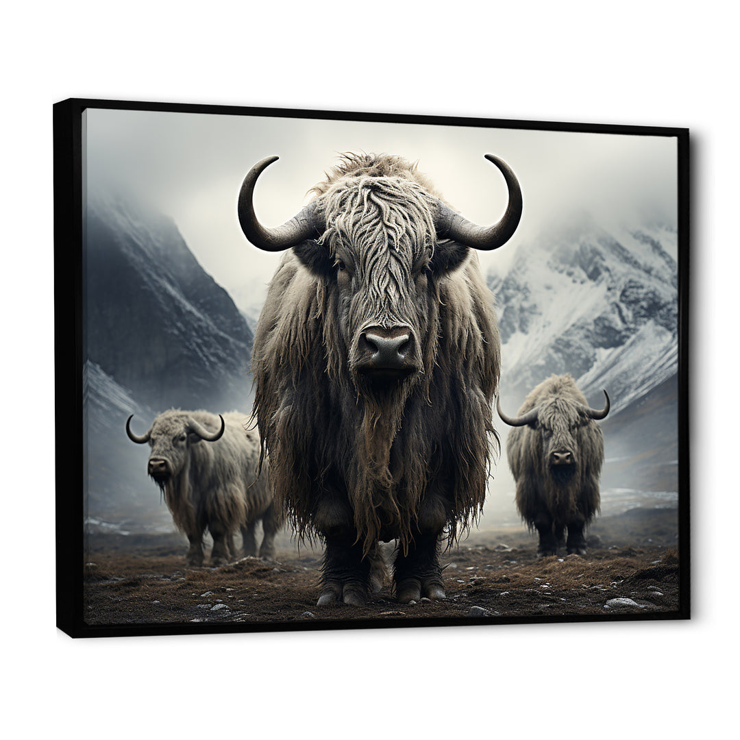 Monochrome Yaks Grazing Scene - Yaks Canvas Wall Art