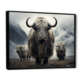 Monochrome Yaks Grazing Scene - Yaks Canvas Wall Art