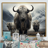 Monochrome Yaks Grazing Scene - Yaks Canvas Wall Art