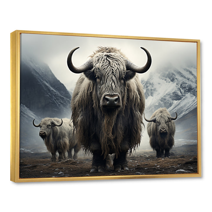 Monochrome Yaks Grazing Scene - Yaks Canvas Wall Art