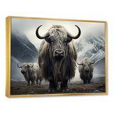 Monochrome Yaks Grazing Scene - Yaks Canvas Wall Art