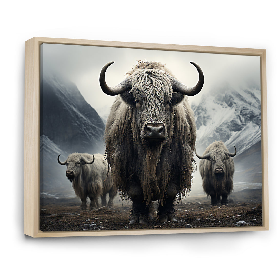 Monochrome Yaks Grazing Scene - Yaks Canvas Wall Art