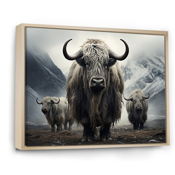Monochrome Yaks Grazing Scene - Yaks Canvas Wall Art