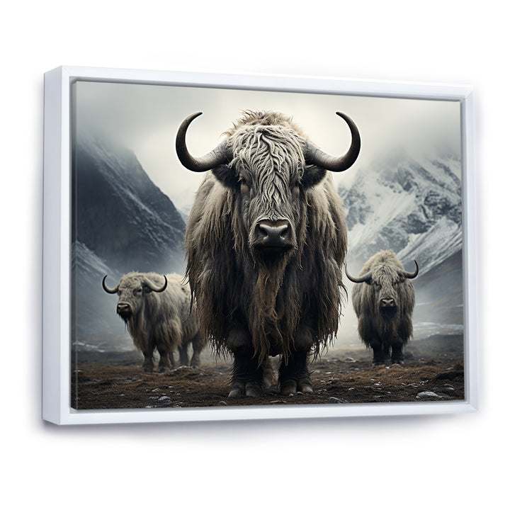 Monochrome Yaks Grazing Scene - Yaks Canvas Wall Art