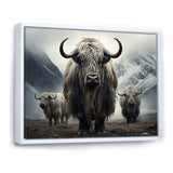 Monochrome Yaks Grazing Scene - Yaks Canvas Wall Art