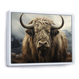 Monochrome Yak Grazing Scene - Yaks Wall Decor