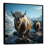 enchanted yaks portrait in winter - Yaks Canvas Wall Art