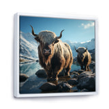 enchanted yaks portrait in winter - Yaks Canvas Wall Art