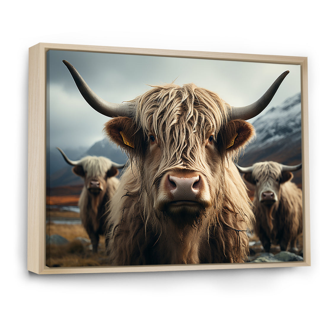Majestic Highlands Yaks - Yaks Wall Decor