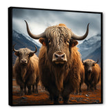 Brown Yaks panorama - Yaks Wall Decor
