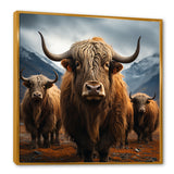 Brown Yaks panorama - Yaks Wall Decor