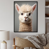 White Majestic Alpaca portrait - Alpaca Wall Art Prints