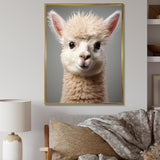 White Majestic Alpaca portrait - Alpaca Wall Art Prints