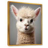 White Majestic Alpaca portrait - Alpaca Wall Art Prints