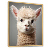 White Majestic Alpaca portrait - Alpaca Wall Art Prints