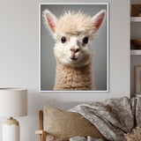 White Majestic Alpaca portrait - Alpaca Wall Art Prints