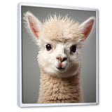 White Majestic Alpaca portrait - Alpaca Wall Art Prints