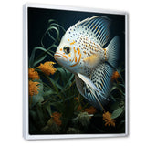 White Classical Butterfly fish Symphony - Butterfly Fish Framed Canvas Art