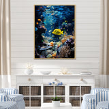Blue butterfly fish Marine Grace - Butterfly Fish Bedroom Wall Art