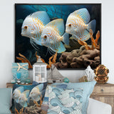 White and blue butterfly fish Wonderland - White Butterfly Fish Wall Art