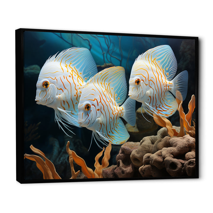 White and blue butterfly fish Wonderland - White Butterfly Fish Wall Art