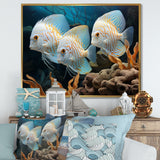 White and blue butterfly fish Wonderland - White Butterfly Fish Wall Art