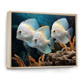 White and blue butterfly fish Wonderland - White Butterfly Fish Wall Art
