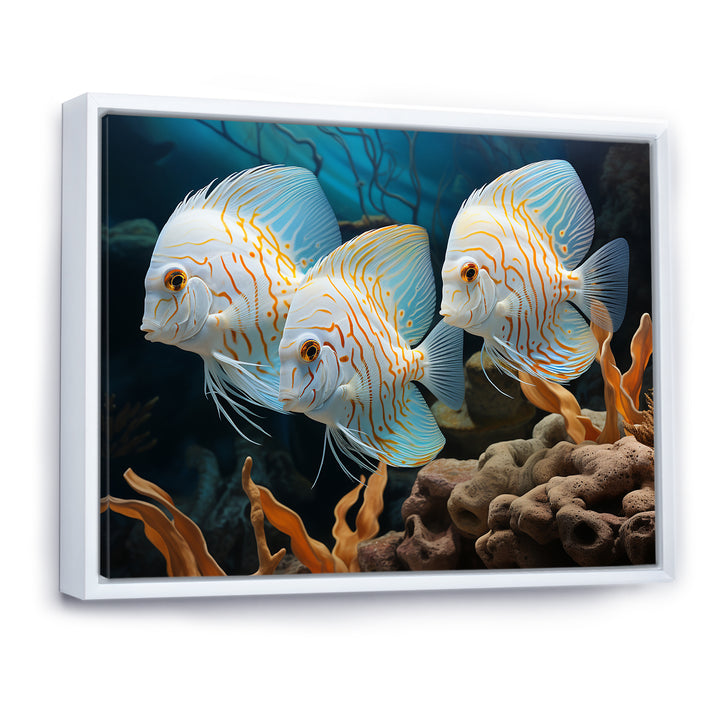White and blue butterfly fish Wonderland - White Butterfly Fish Wall Art