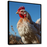 Rooster portrait photo - Chicken Canvas Wall Art