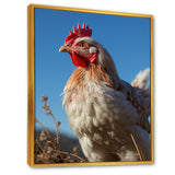 Rooster portrait photo - Chicken Canvas Wall Art