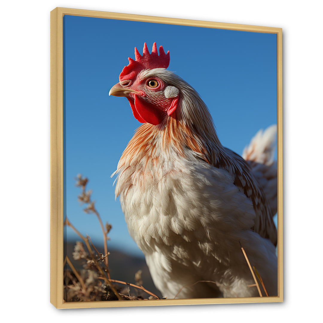 Rooster portrait photo - Chicken Canvas Wall Art