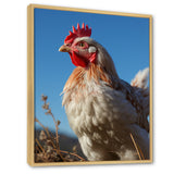 Rooster portrait photo - Chicken Canvas Wall Art
