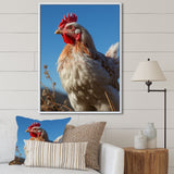 Rooster portrait photo - Chicken Canvas Wall Art