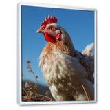 Rooster portrait photo - Chicken Canvas Wall Art