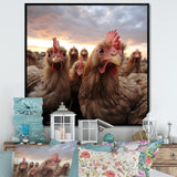 Red Chicken family at sunset - Chicken Wall Art Prints