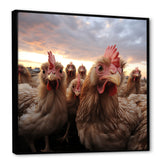Red Chicken family at sunset - Chicken Wall Art Prints