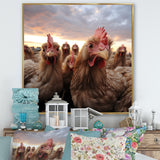 Red Chicken family at sunset - Chicken Wall Art Prints