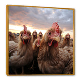 Red Chicken family at sunset - Chicken Wall Art Prints