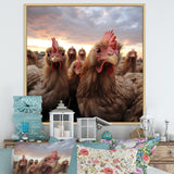 Red Chicken family at sunset - Chicken Wall Art Prints