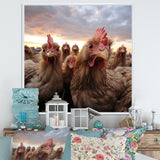 Red Chicken family at sunset - Chicken Wall Art Prints