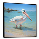 Tropical Pelican Poise - Coastal Animal Wall Art Prints