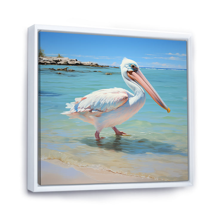 Tropical Pelican Poise - Coastal Animal Wall Art Prints