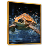 Sea Turtle Journey - Blue Coastal Animal Wall Art