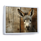 Wood Charming donkey portrait - Donkey Canvas Wall Art