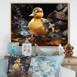 Yellow and black duck Feathered pond Elegance - Duck Wall Decor