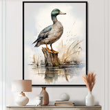 Minimalist Mallard Duck at the pond II - Animals Canvas Wall Art