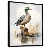 Minimalist Mallard Duck at the pond II - Animals Canvas Wall Art