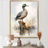 Minimalist Mallard Duck at the pond II - Animals Canvas Wall Art