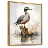 Minimalist Mallard Duck at the pond II - Animals Canvas Wall Art